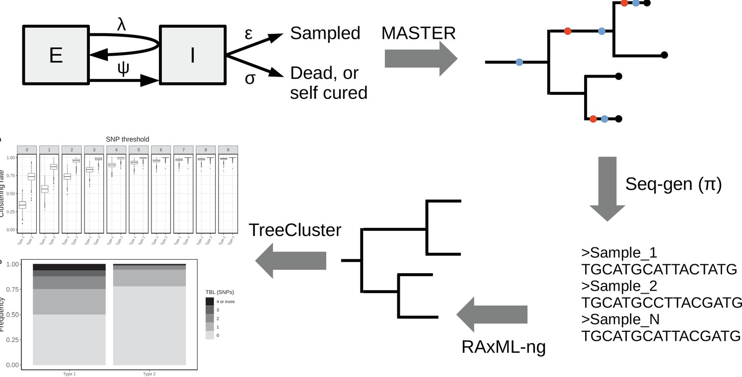 Simulation pipeline for MTB epidemiology